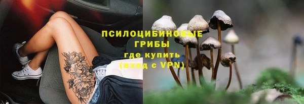 бошки Надым