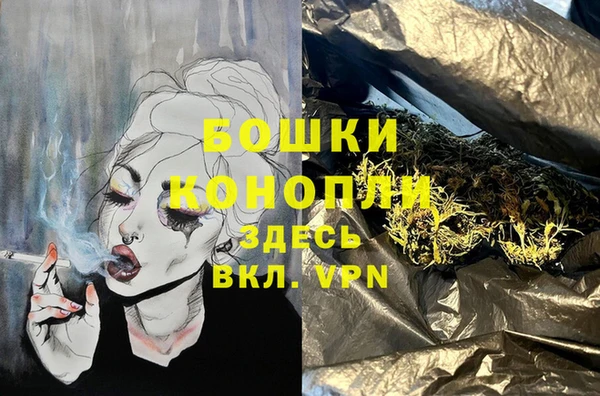 бошки Надым