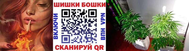 маркетплейс официальный сайт  где найти   Сусуман  Канабис SATIVA & INDICA 